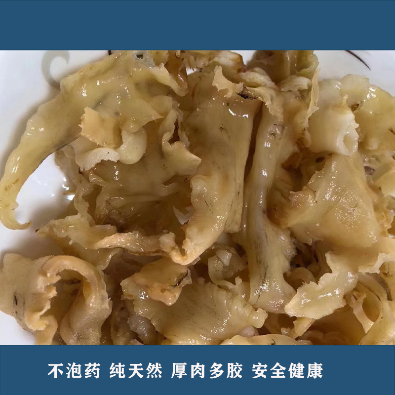 鳕鱼胶怎么泡发