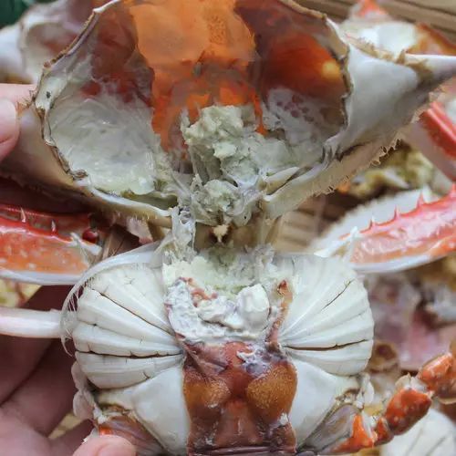 螃蟹的煮法