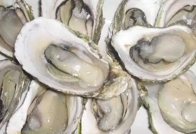 海蛎怎么做才好吃