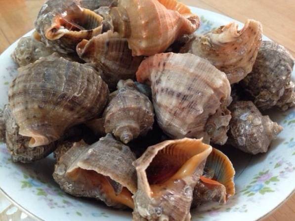 煮海螺很简单的